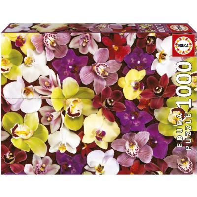 Frank: Orkidéer, 1000 brikker